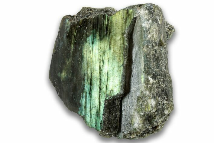 Single Side Polished Labradorite Section - Madagascar #324683
